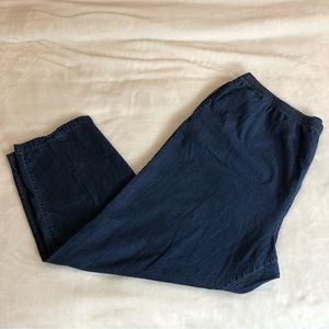Appleseeds Tencel®/Cotton Denim Elastic-Waist Pants
Item Number: A32044 Size 2X